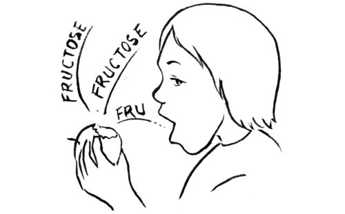 Person eating an apple with fructose labels
